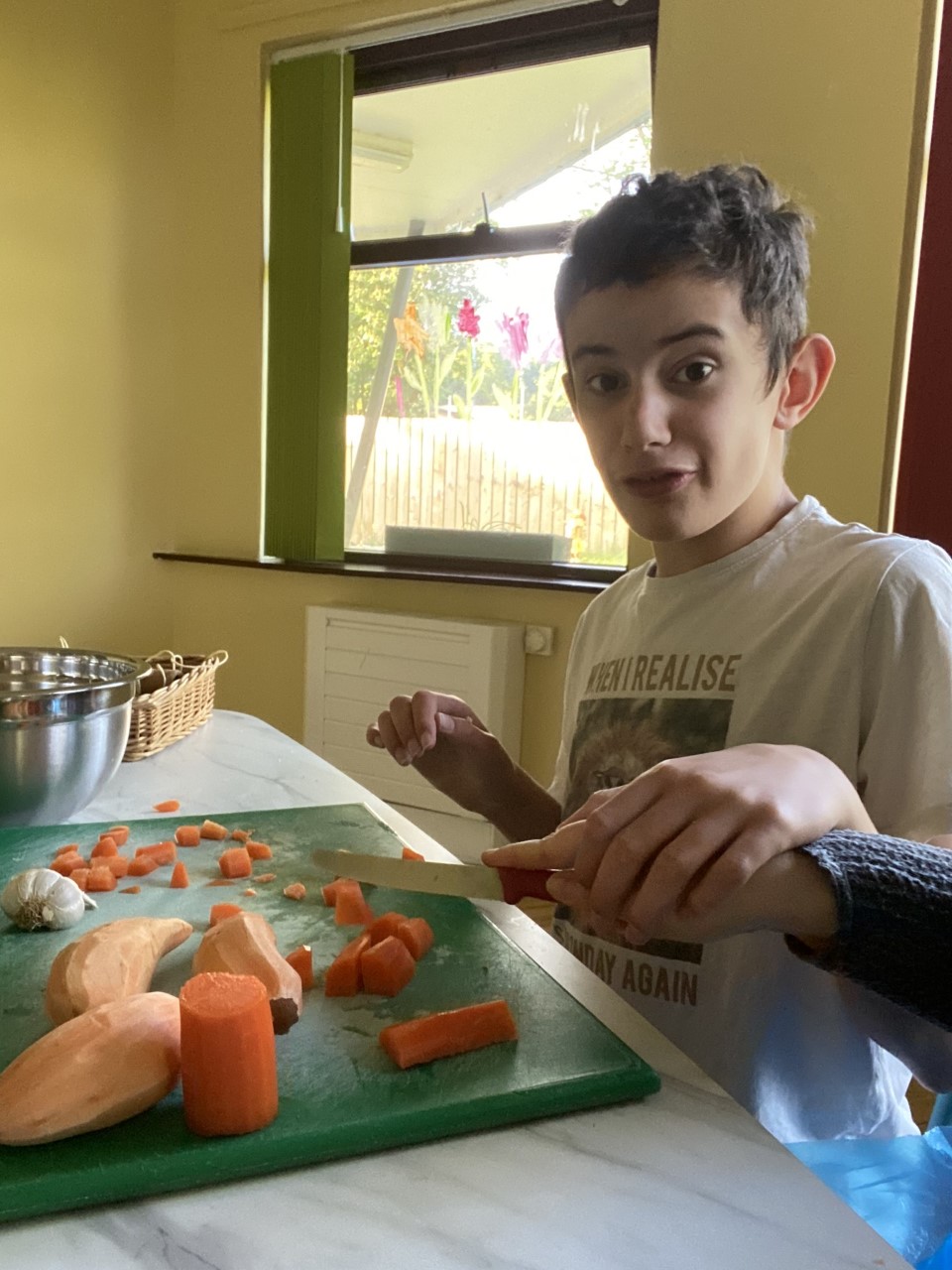 Childrens Residential - Nutrition Image Chopping